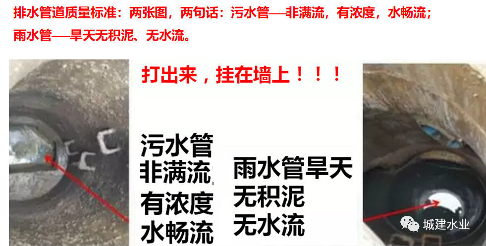 1616749012108999.png PPPPPPPPPP.png